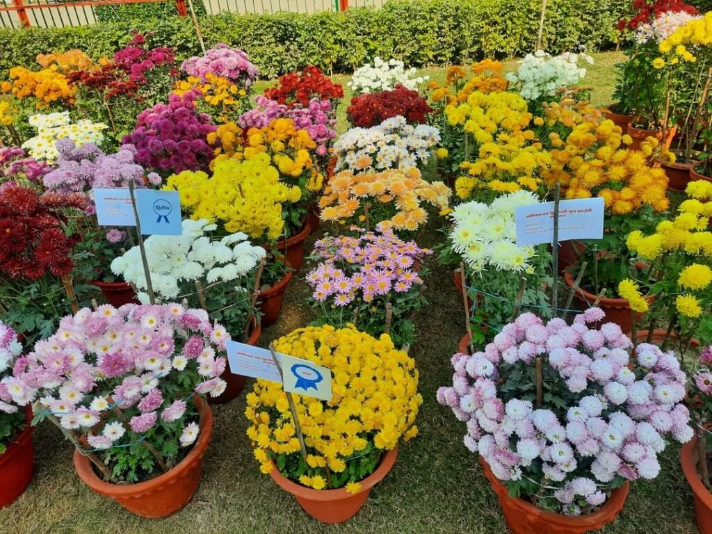 Prayagraj: Flower exhibition begins in Azad Park, 103 participants are taking part