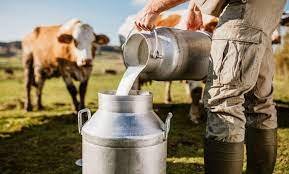 New Delhi : Bank fraud: ED raids Punjab Milk Products Processing Group