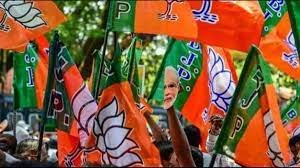 New Delhi : Does Congress want Rahul Gandhi to have full freedom to abuse people: BJP