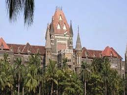 MUMBAI: Transgender person who undergoes surgery to become female can seek relief under Domestic Violence Act