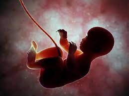 New Delhi: RSS branch launches 'Garbh Sanskar' campaign to teach sanskar and values to the child in the womb