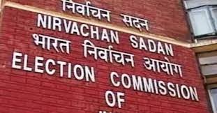 New Delhi: Election Commission 'not in a hurry' to hold by-elections in Wayanad
