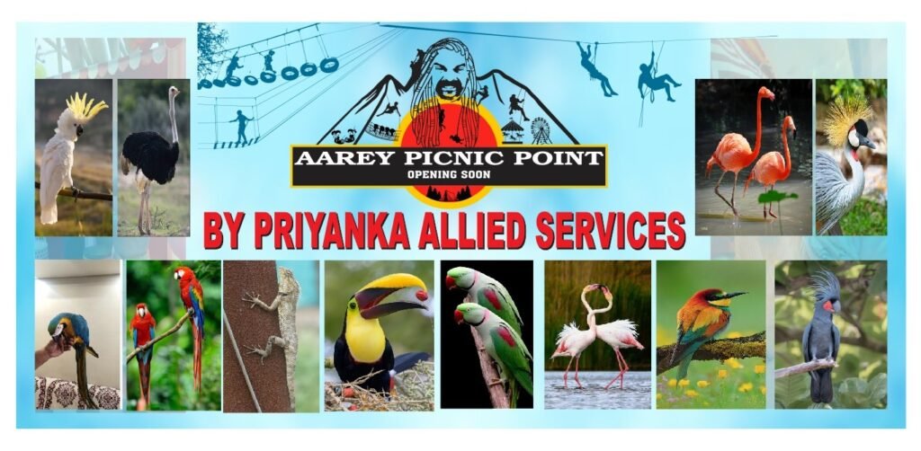 Mumbai : Aarey Picnic Point for kids entertainment in Aarey Colony
