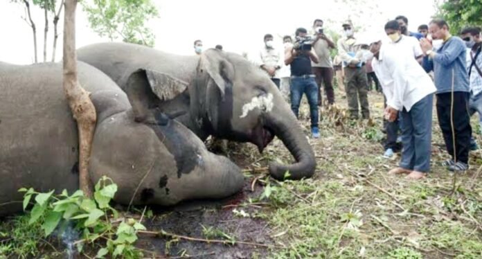 04dl_m_158_04082023_1