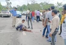 Korba : अज्ञात वाहन की चपेट में आकर एसईसीएल कर्मचारी गंभीर रूप से घायल