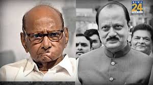 Mumbai: This was merely an accident, don't give it a political spin: Sharad Pawar