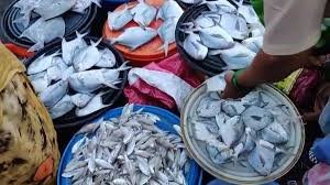 Mumbai: Fish Market Approved in Marol