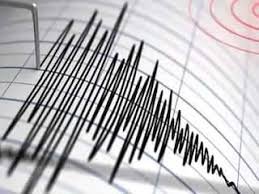 Srinagar: 4.7 Magnitude Earthquake Strikes Kashmir