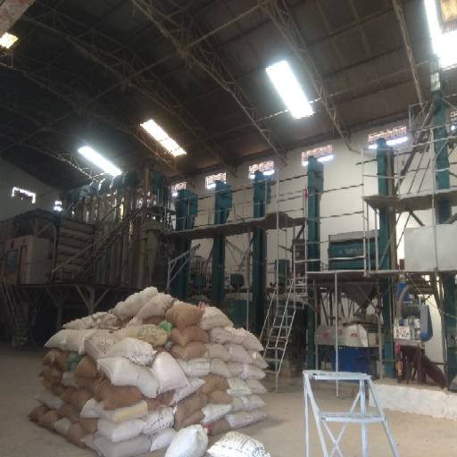 Dhamtari: Strict Action Against Negligence in Custom Milling; Case Registered Against Rishabh Rice Processing