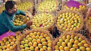 Navi Mumbai: 'The King of Konkan' Arrives in the Market