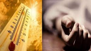 Mumbai: 32 New Heatstroke Patients in April; One Suspected Death