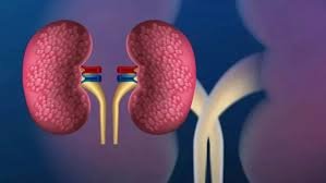 New Delhi: 64-Year-Old Mother Gives 40-Year-Old Son a Second Life by Donating a Kidney