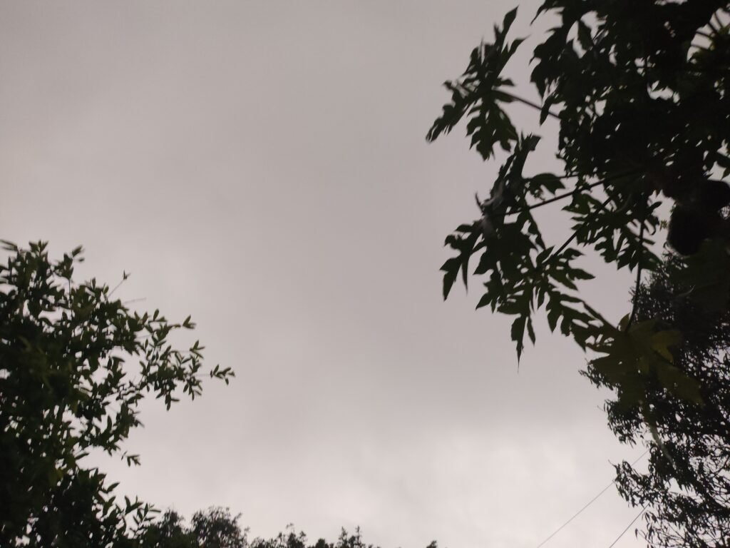 Dehradun: Weather Takes a Turn; Heavy Storms Accompanied by Hail