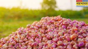 New Delhi: Onion Prices Plummet in Maharashtra