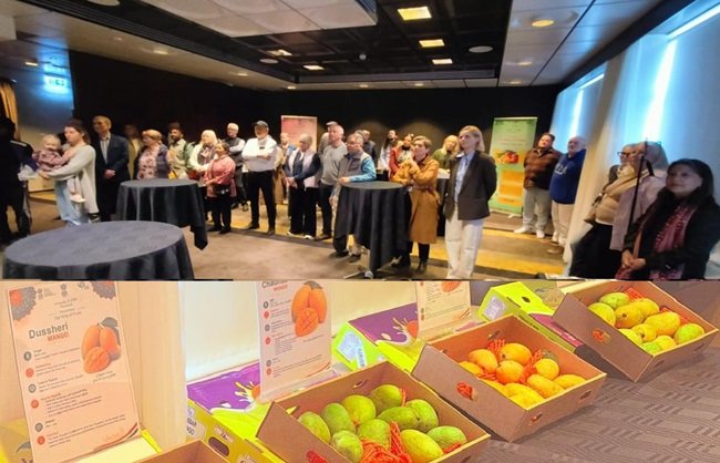 
New Delhi: India Hosts Mango Exhibition in Iceland