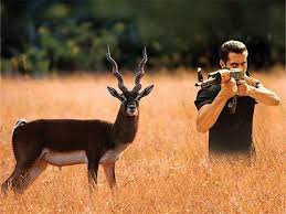 Mumbai: Legal Move Regarding 'Blackbuck'