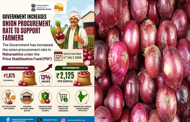 New Delhi: The government has increased the procurement price of onions by 13 percent to Rs 2,125 per quintal.